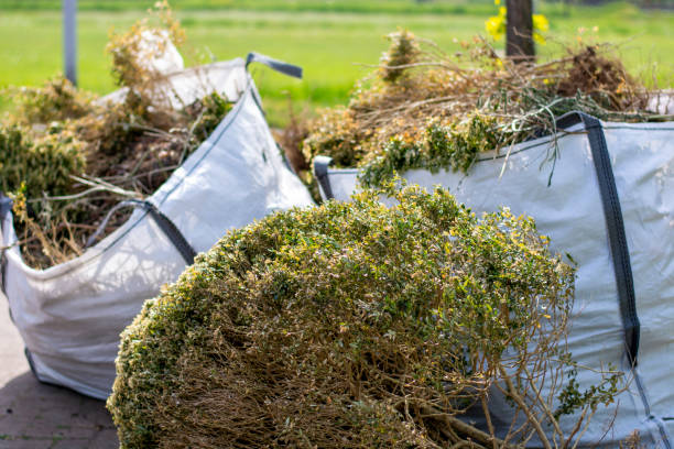 Basement Cleanout Services in Sutton Alpine, AK